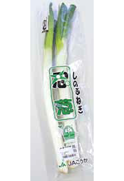 忍葱(しのぶねぎ)