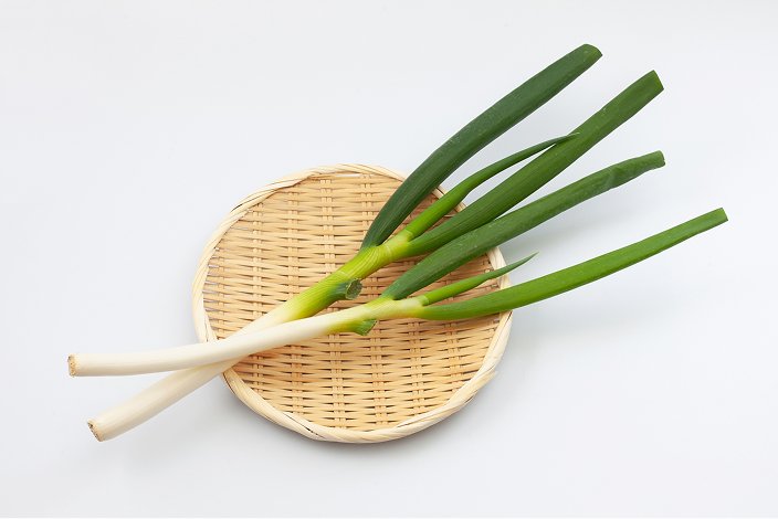 白ネギ