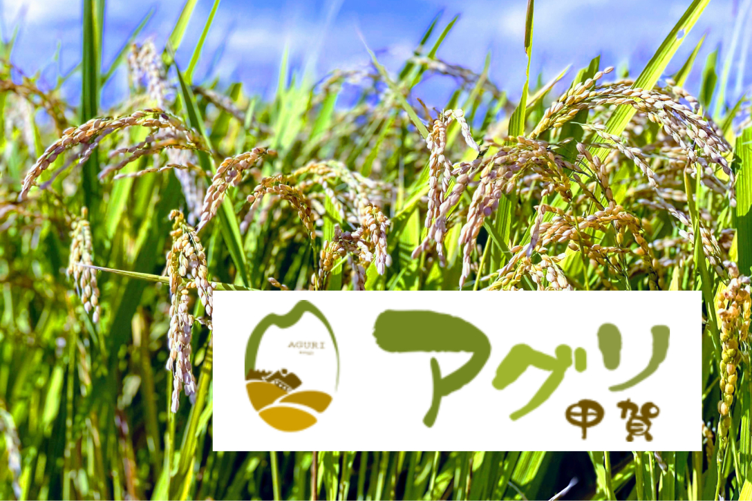 有限会社アグリ甲賀