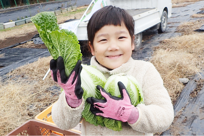 収穫した野菜を運ぶ児童