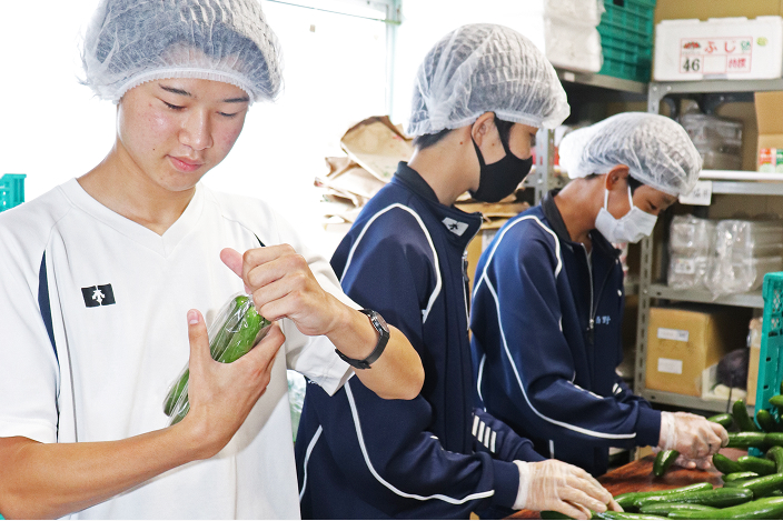 野菜の袋詰めを行う生徒
