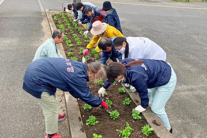 くらしの活動で花植え