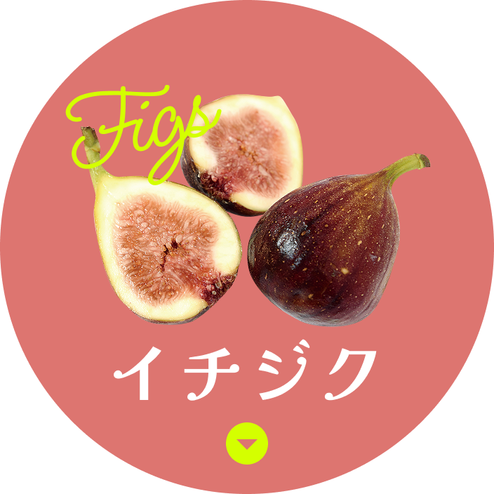 イチジク