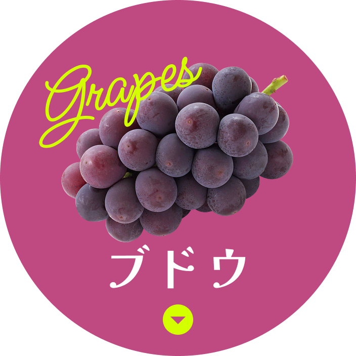 ブドウ