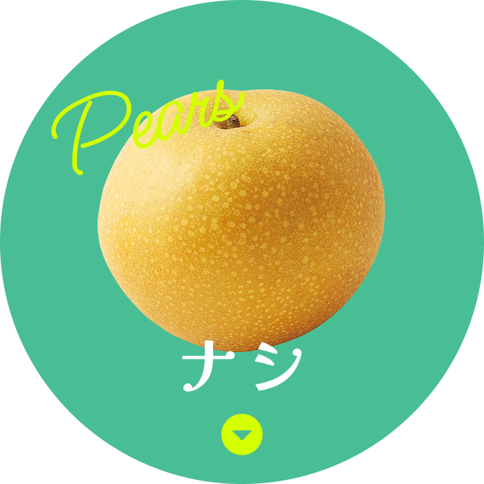 ナシ