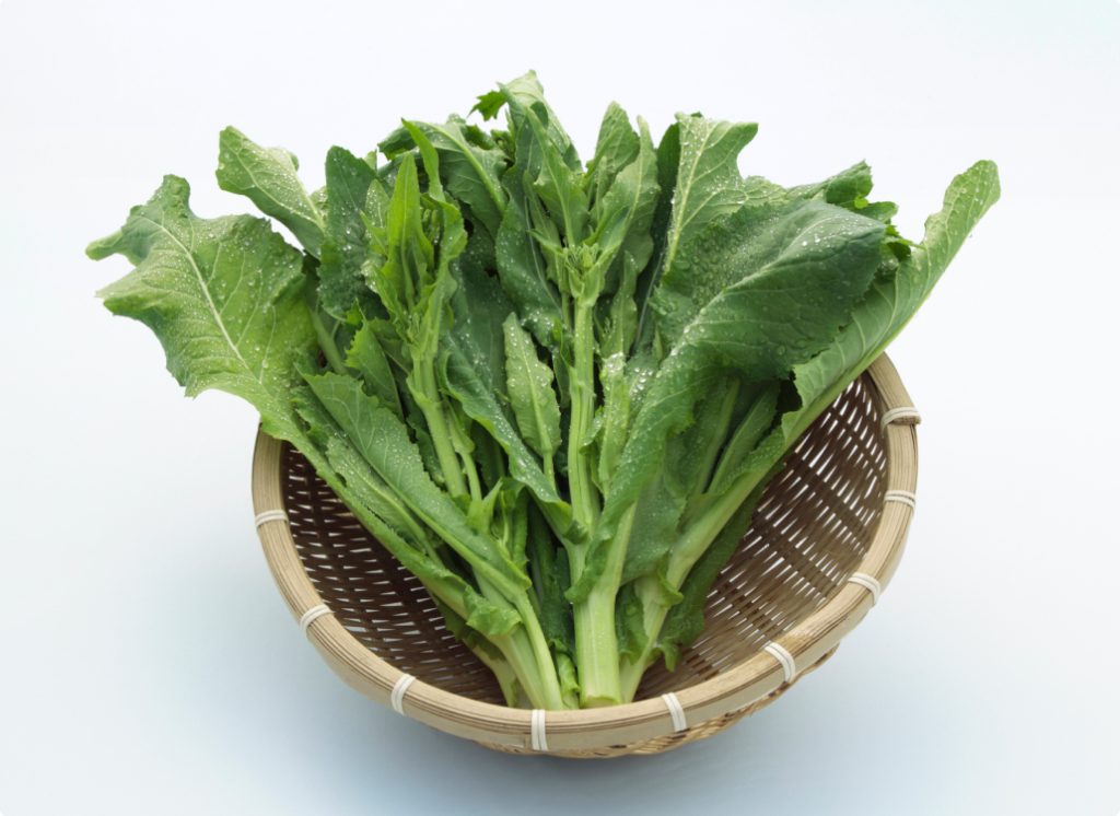 鮎河菜