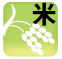 【2月の営農情報】小麦の穂肥の施用について
