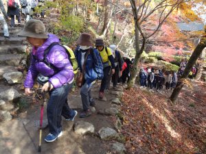 サンシャインウォーキング開催　鶏足寺の紅葉楽しむ