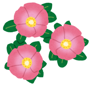 【四季の花づくり】花壇の寒ざらしを行いましょう