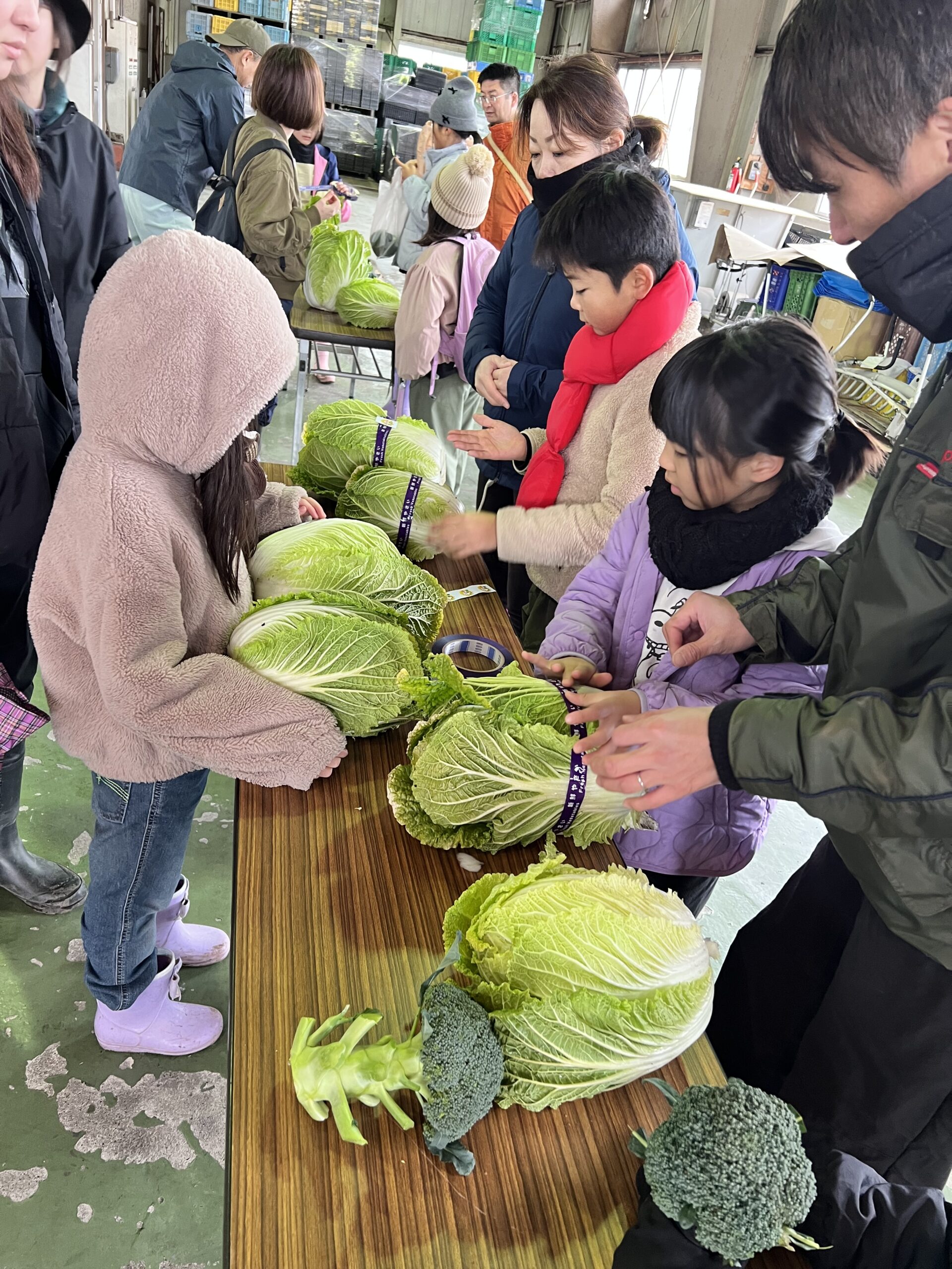 ちゃぐりんキッズ倶楽部が9月に植えた秋冬野菜の収穫とインショップの販売にチャレンジ