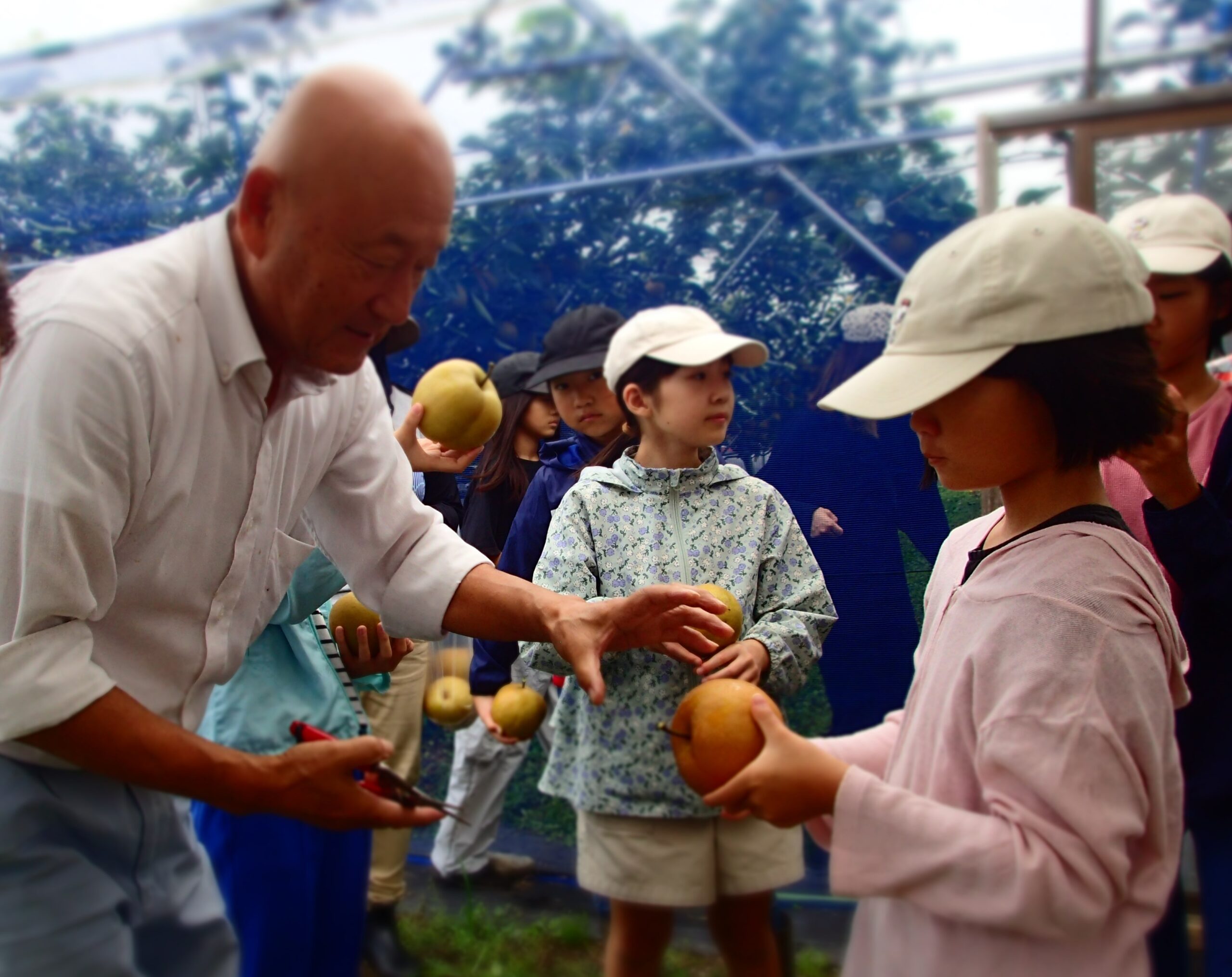 親子で実際に「見て」「触って」「食べて」地域のフルーツを学ぼう！ 小学生親子対象の食農教育「ちゃぐりんキッズ倶楽部」を開講